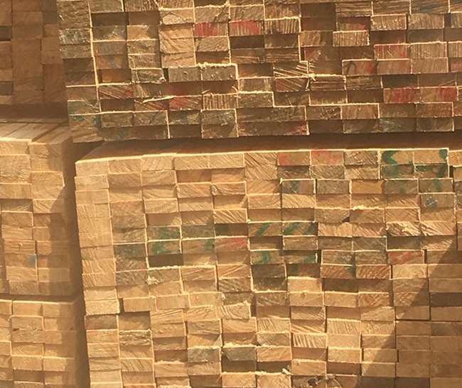 玉州新西兰进口松木